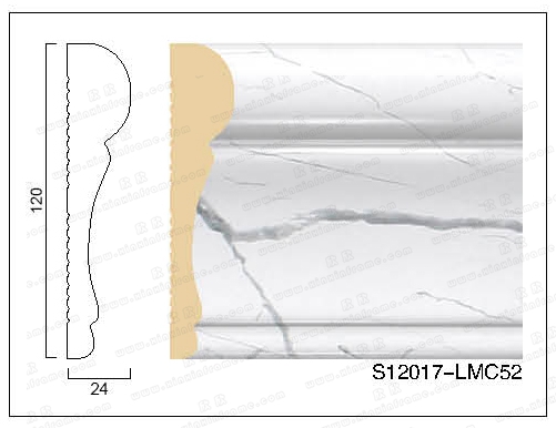 S12017-LMC52