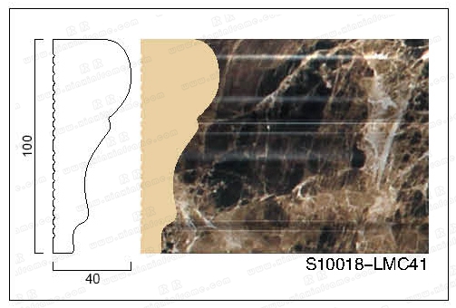 S10018-LMC41