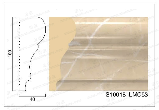 S10018-LMC53