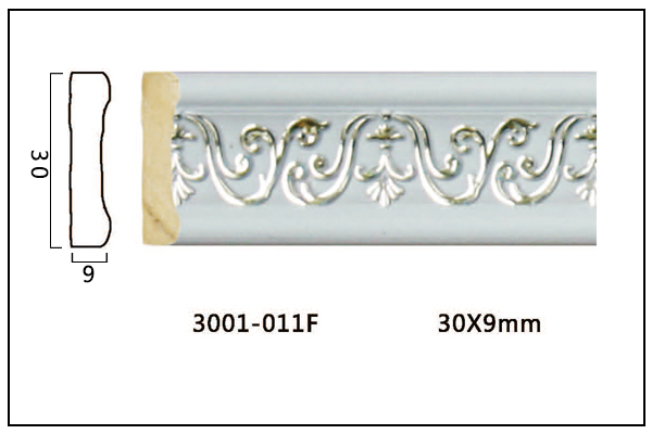 3001-011F